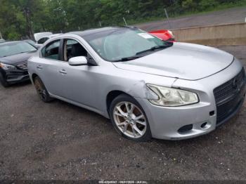  Salvage Nissan Maxima