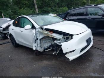  Salvage Tesla Model Y