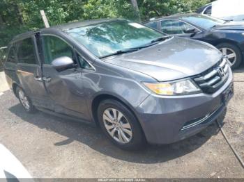 Salvage Honda Odyssey