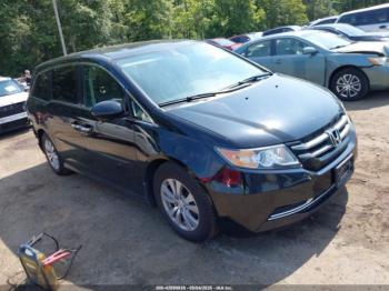  Salvage Honda Odyssey