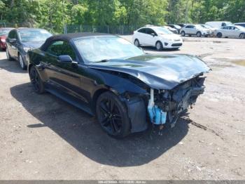  Salvage Ford Mustang