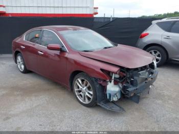  Salvage Nissan Maxima