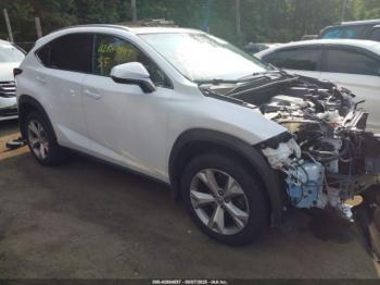  Salvage Lexus NX