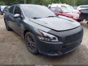  Salvage Nissan Maxima