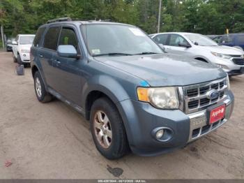  Salvage Ford Escape