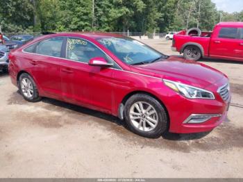  Salvage Hyundai SONATA
