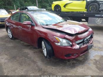  Salvage Nissan Maxima