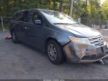  Salvage Honda Odyssey