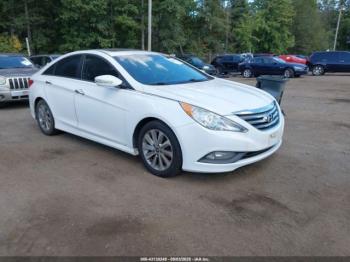  Salvage Hyundai SONATA