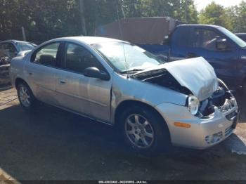  Salvage Dodge Neon