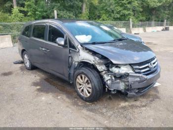  Salvage Honda Odyssey