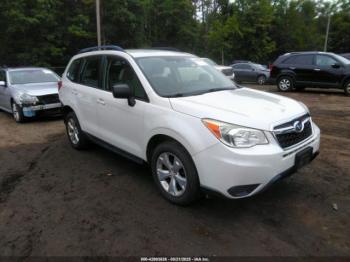  Salvage Subaru Forester