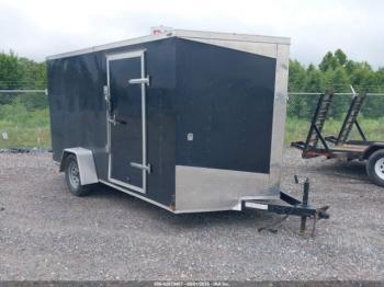  Salvage Lark Trailer