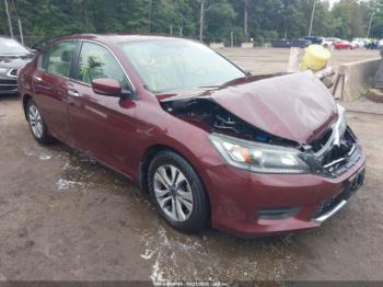  Salvage Honda Accord