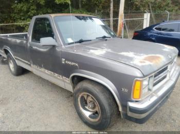  Salvage Dodge Dakota