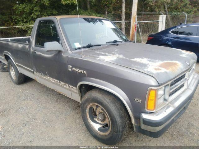  Salvage Dodge Dakota
