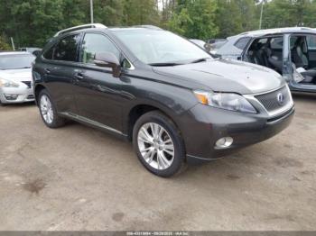  Salvage Lexus RX