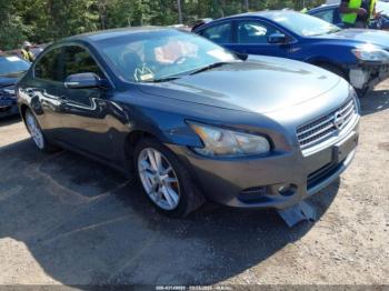  Salvage Nissan Maxima