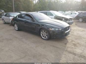  Salvage Jaguar XE