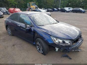 Salvage Honda Accord