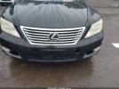 Lexus LS Image 4