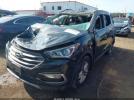 Hyundai SANTA FE 2.4l Image 6