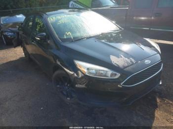  Salvage Ford Focus