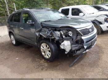  Salvage Kia Sorento