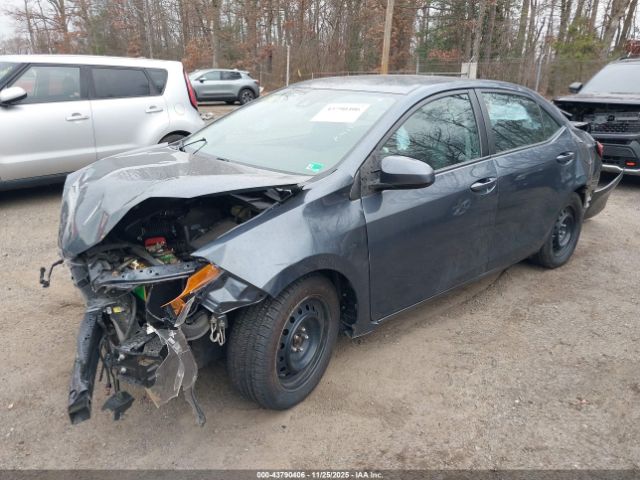 Toyota Corolla Le Image 2