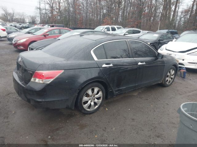 Honda Accord 3.5 Ex-l Image 5