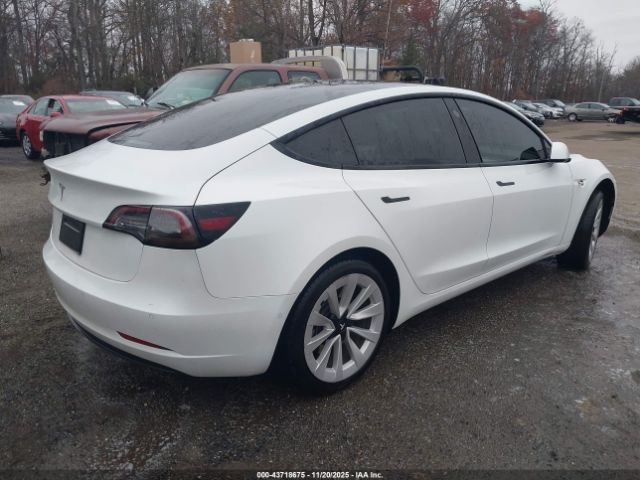 Tesla Model 3 Rear-wheel Drive Image 8