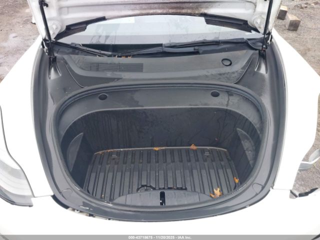 Tesla Model 3 Rear-wheel Drive Image 9