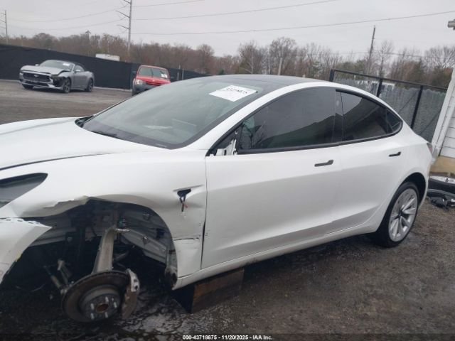 Tesla Model 3 Rear-wheel Drive Image 15