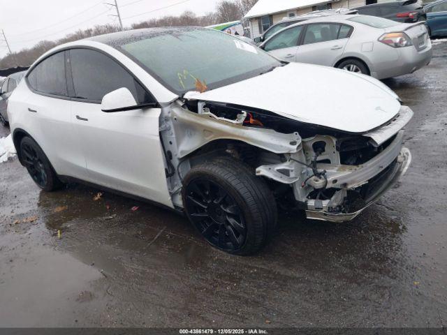  Salvage Tesla Model Y