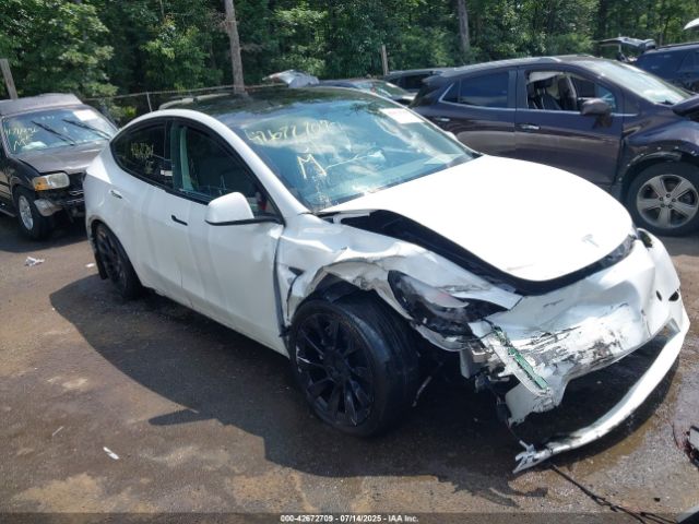 Tesla Model Y Image 1