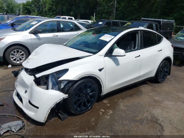 Tesla Model Y Image 12