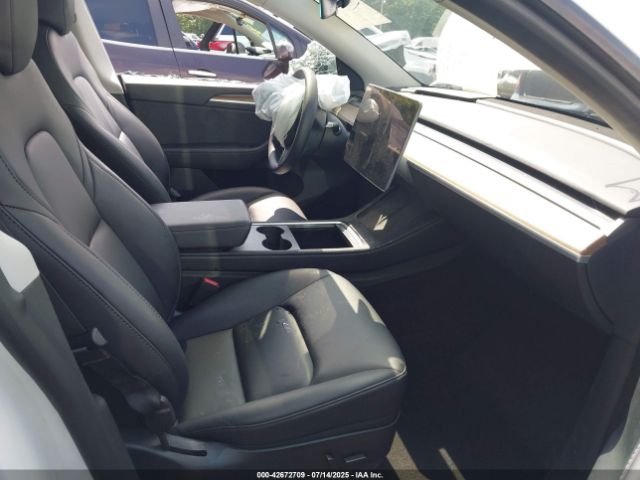 Tesla Model Y Image 2