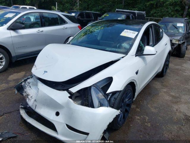 Tesla Model Y Image 5