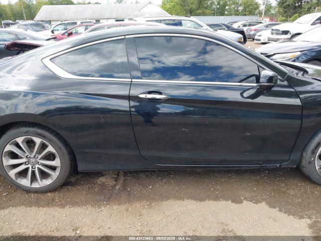 Honda Accord Ex-l V-6 Image 12