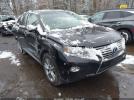 Lexus RX Image 1
