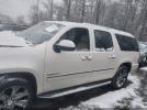 GMC Yukon Denali Image 3