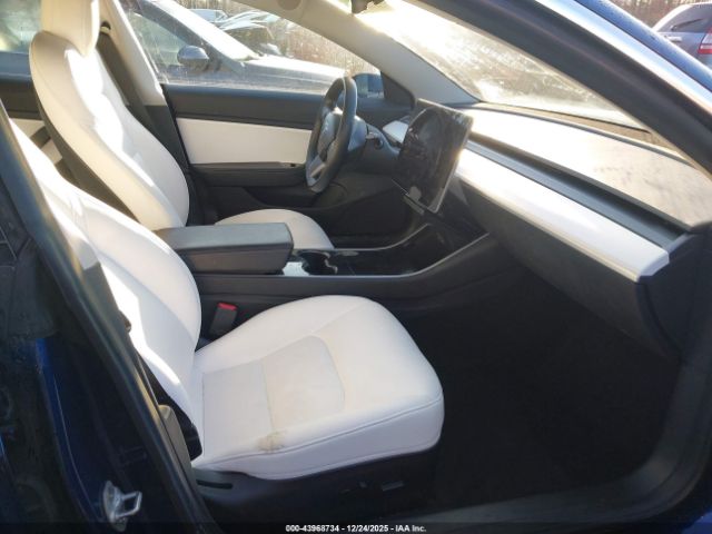 Tesla Model 3 Image 13