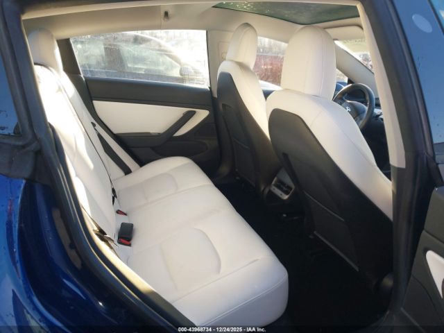 Tesla Model 3 Image 7
