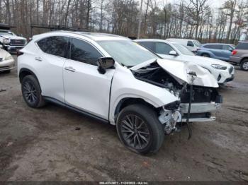  Salvage Lexus NX