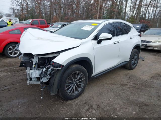 Lexus NX Premium Image 3