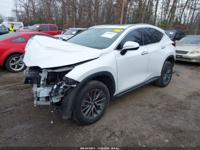 Lexus NX Premium Image 3