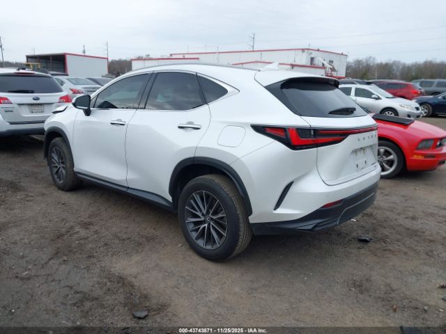 Lexus NX Premium Image 2