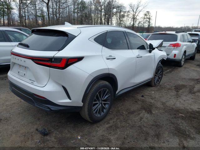 Lexus NX Premium Image 5