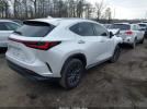 Lexus NX Premium Image 5
