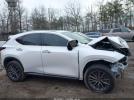 Lexus NX Premium Image 14